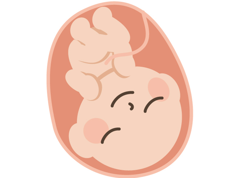 茗荷谷駅徒歩2分の歯医者｜佐藤歯科医院のマタニティ歯科