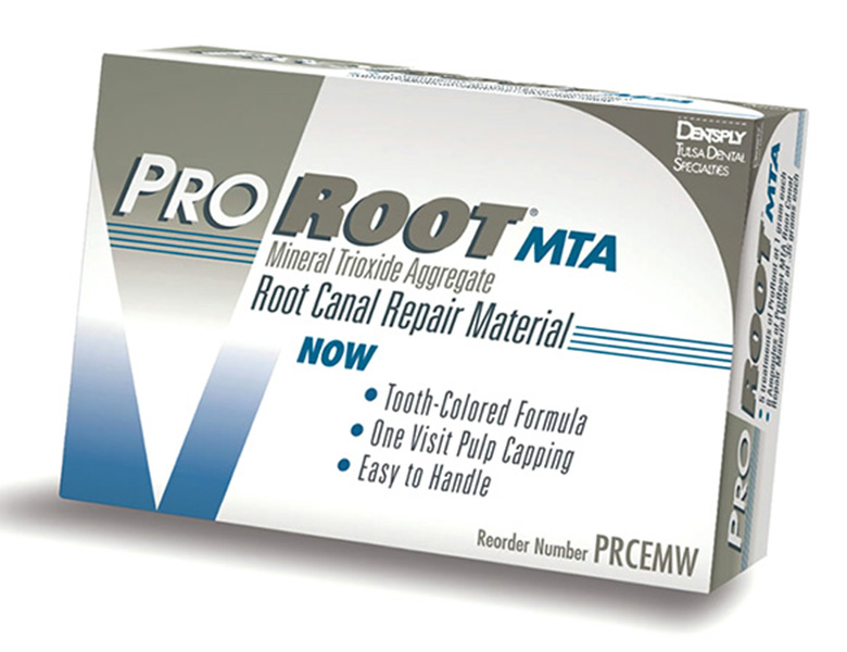 茗荷谷駅徒歩2分の歯医者｜佐藤歯科医院の根管治療